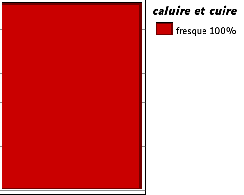 les streetart de caluire et cuire
