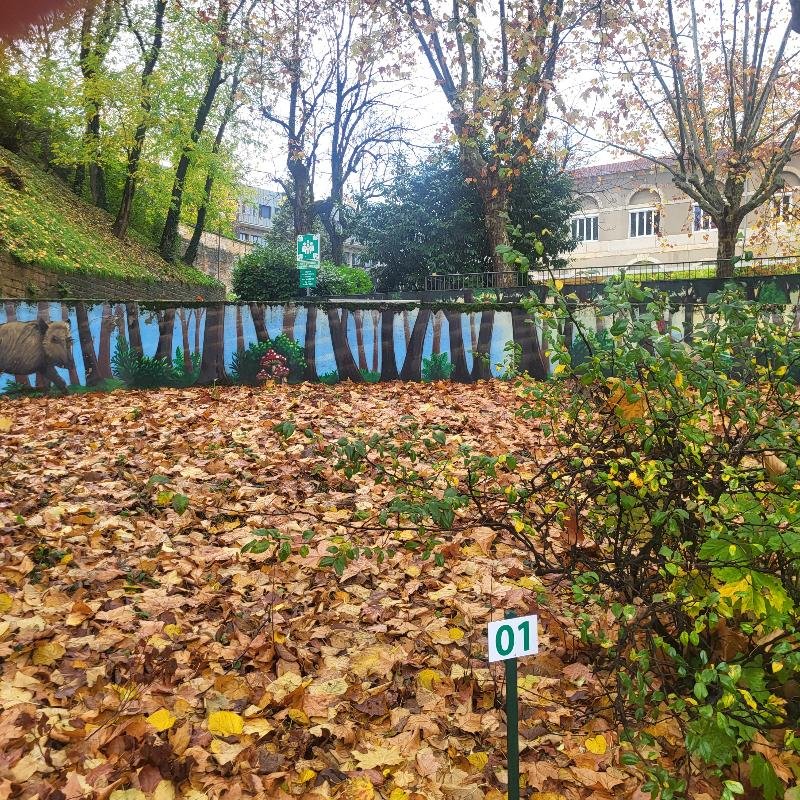 <fresque-537
